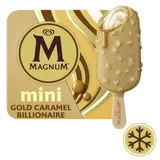 Mini Bâtonnets glacés double billionnaire MAGNUM x6 282g