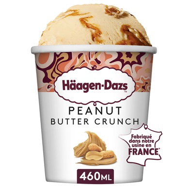 Crème glacée peanut butter HÄAGEN DAZS pot 400G