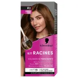 SOYANCE Kit racines coloration châtain doré R2