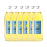 Lot de 6 x Citronnade infusion menthe poivrée, Frichti (1 L)