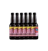 Lot de 6 Kombucha aux feuilles de framboisier, Archipel (33 cl)