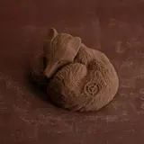 Renard Lové Coco, Yann Couvreur (115 g)
