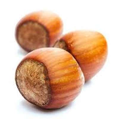 Noisettes sèches avec coque (environ 300 g), France