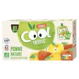 Gourdes Cool Fruits - Pomme de Nouvelle Aquitaine Acérola BIO, Vitabio (12 x 90 g)