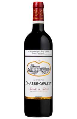 Château Chasse-Spleen 2022, AOC Moulis - Cru Bourgeois (75 cl)