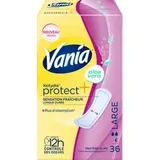 Protège-slips Kotydia Protect+ aloé véra Large, Vania (x 36)