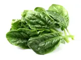 Sachet d'épinards frais BIO du Finistère nord - direct producteur (500 g), France