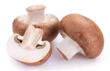 Champignon de Paris blond BIO (barquette 200 g), France