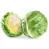 Chou vert lisse BIO du Finistère Nord - Direct producteur (0.8 à 1.2 Kg) (calibre moyen), France