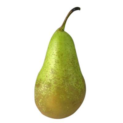 Poire Conférence (petit calibre), Belgique