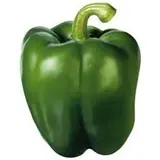 Poivron vert (petit calibre), Espagne