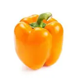 Poivron orange (calibre moyen), Pays-bas