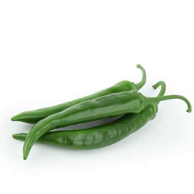 Piment long de Provence - direct producteur, France