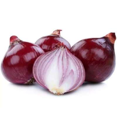 Oignon rouge (filet de 3 / 4 gros oignons), France