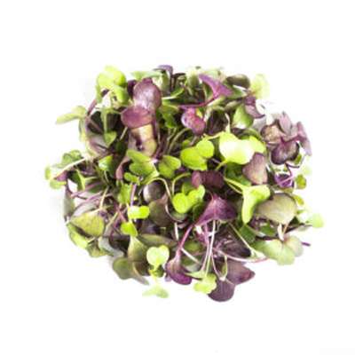 Micro-pousses folie de radis, Ile-de-France, Paysan Urbain (20 g), France