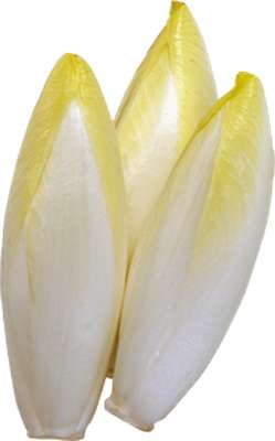 Endives en sachet des Hauts-de-France (500 g), France
