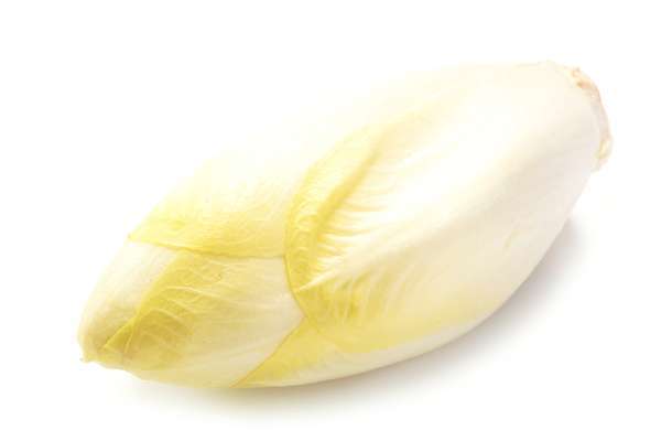 Endive des Hauts-de-France (calibre moyen), France