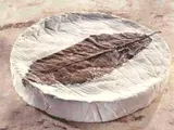 Feuille de Dreux (environ 300 g)