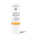 Stick éclat des lèvres BIO, Dr Hauschka (4,9 g)