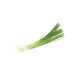 Oignons cebettes bio origine France