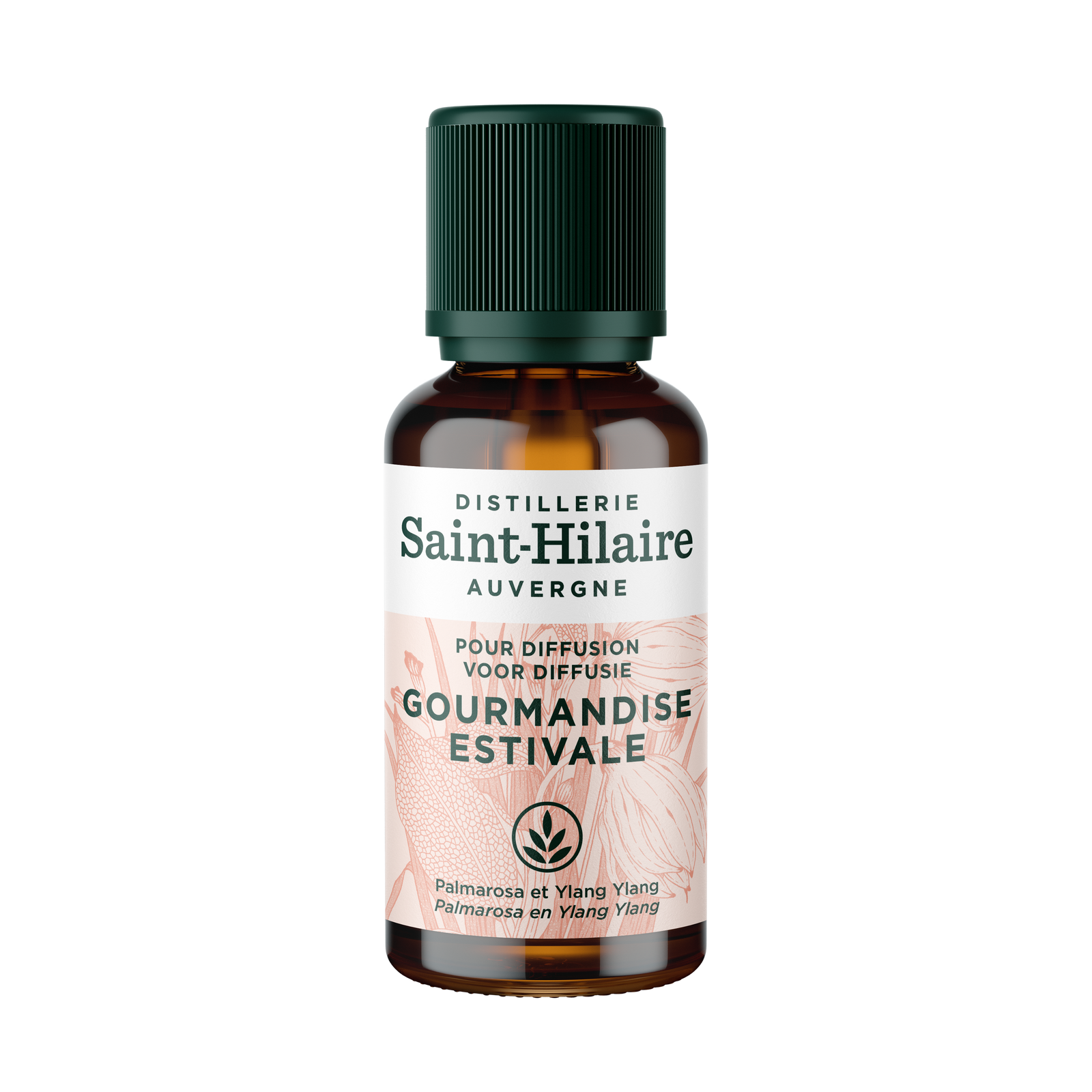 Complexe de diffusion - gourmandise estivale