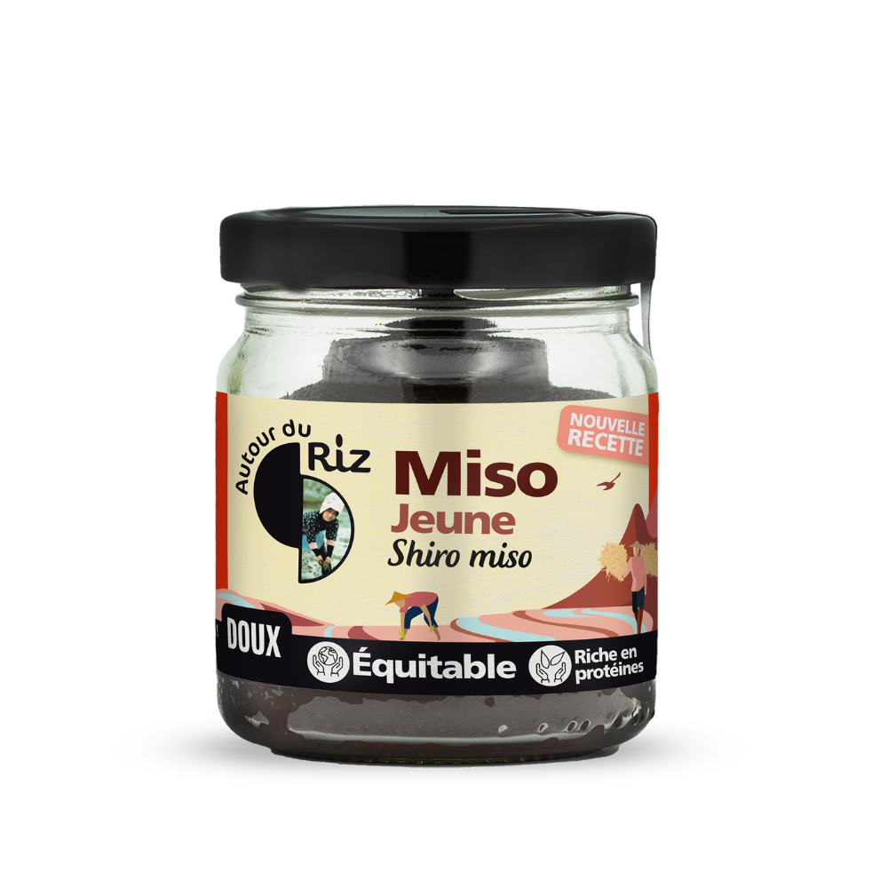 Miso blanc jeune shiro miso bio et équitable