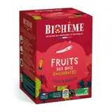 Infusion fruits rouges cassis hibiscus bio x 20