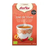 Infusion Joie de Vivre - basilic, orange, piment bio x 17