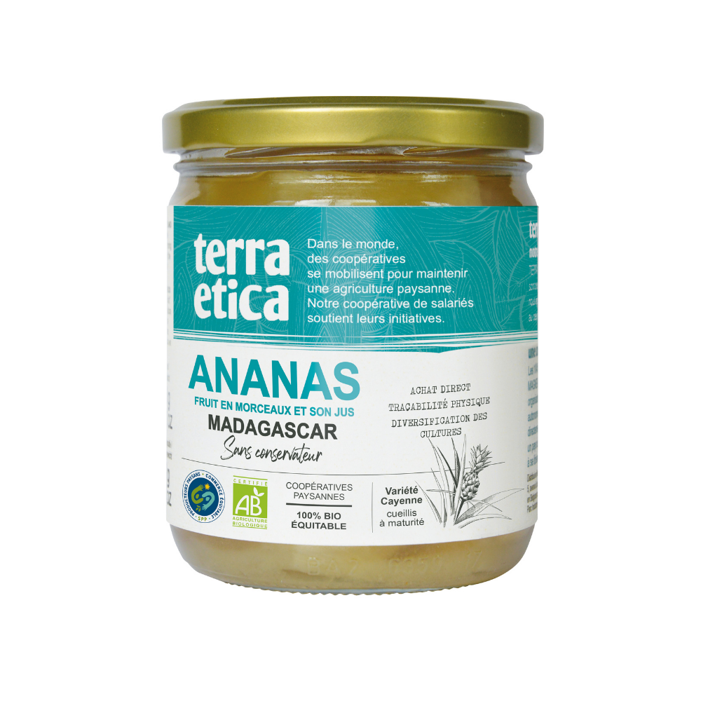 Ananas morceaux équitable et bio