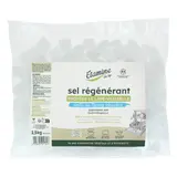 Sel régénérant