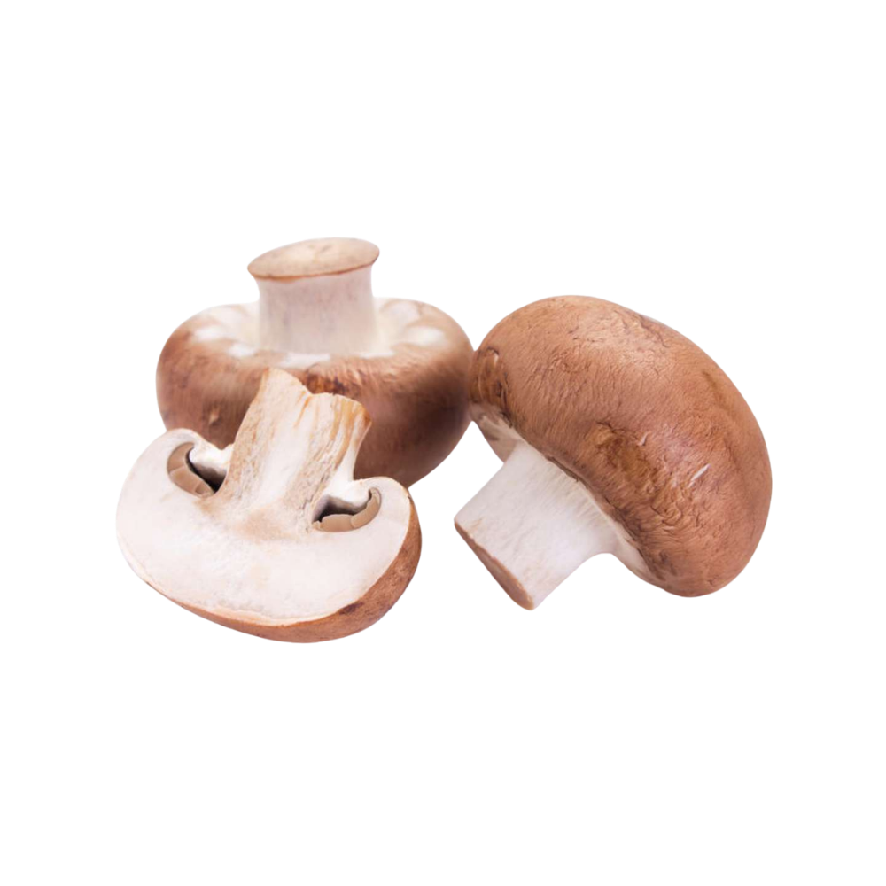 Champignons de Paris bio origine France