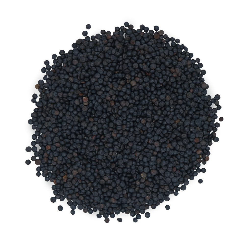 Lentilles noires beluga bio origine France en sachet kraft