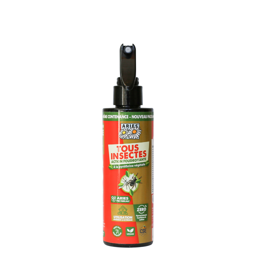 Spray insecticide action foudroyante