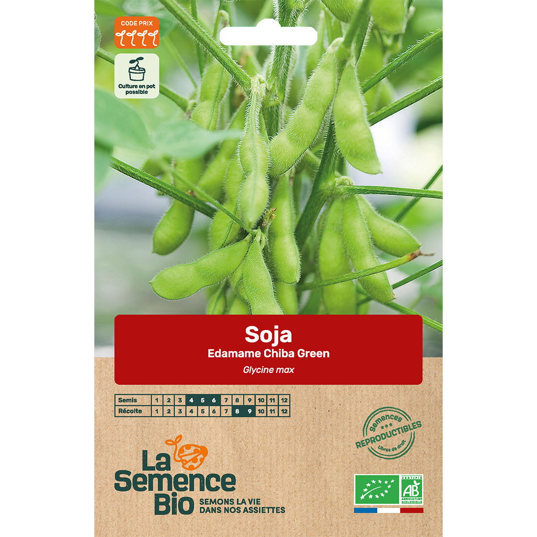 Graines bio soja edamame chiba green