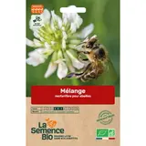 Graines bio mélange de fleurs abeilles