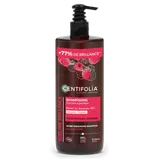 Shampoing brillance tous types de cheveux