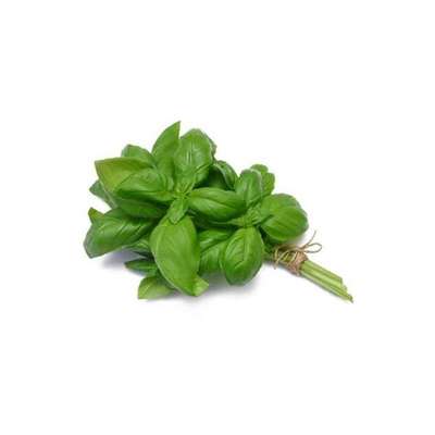 Basilic BIO, France