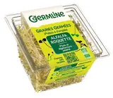Alfalfa/roquette BIO, Germline (60 g)
