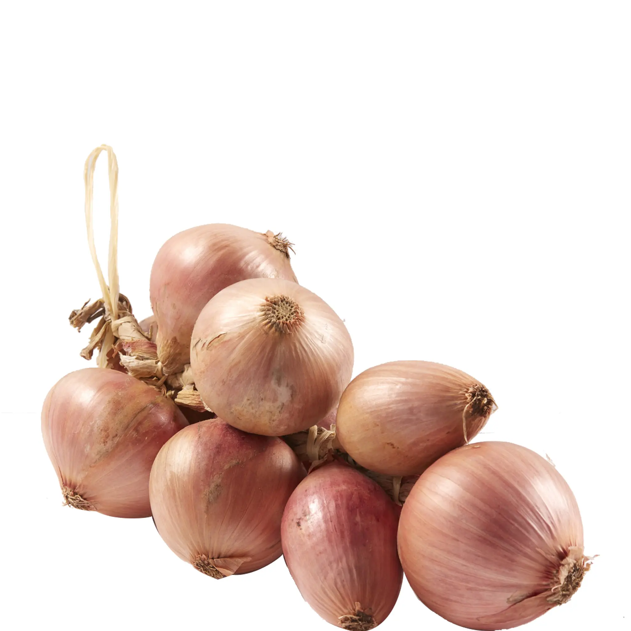 Oignons rouges