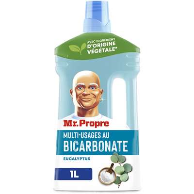 Nettoyant multi-usages bicarbonate & eucalyptus, Mr Propre (1 L)