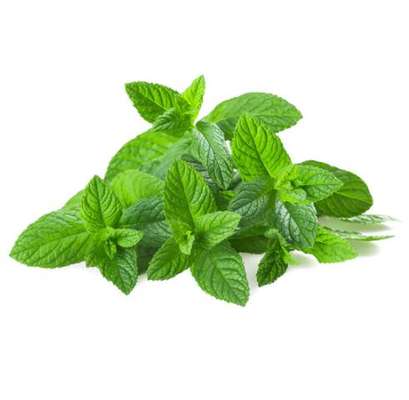 Menthe BIO, France