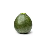 Courgette ronde verte du Loir-et-Cher (gros calibre), France