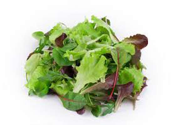 Mélange de jeunes pousses mesclun (125 g), France