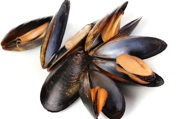 Moules de Hollande (2 kg)