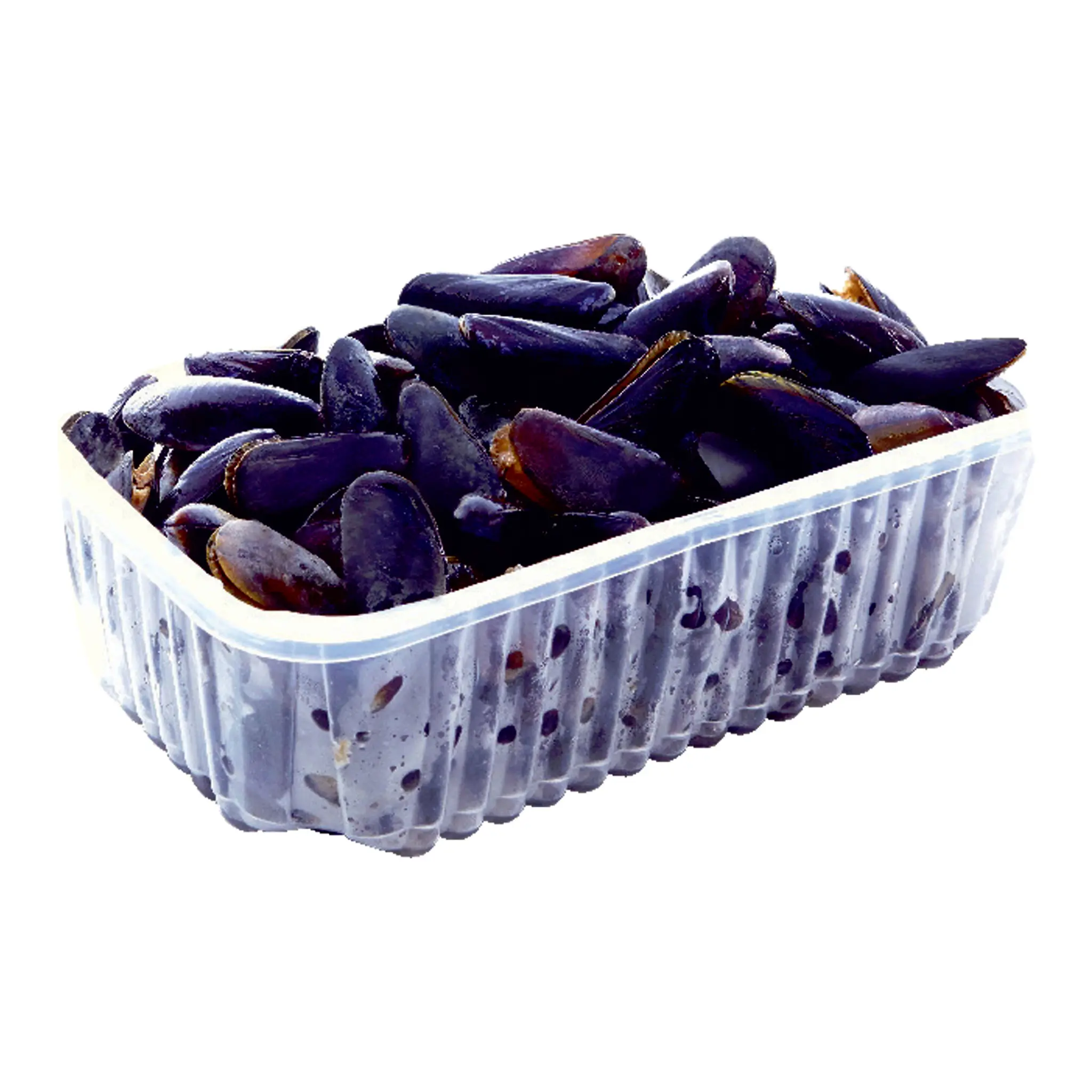 Moules de Hollande
