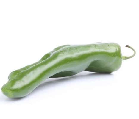 Piment vert doux BIO des Landes - direct producteur, France