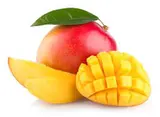 Mangue Kent avion "mûre à point" (calibre moyen), Brésil