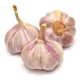 Ail rose (calibre moyen), France