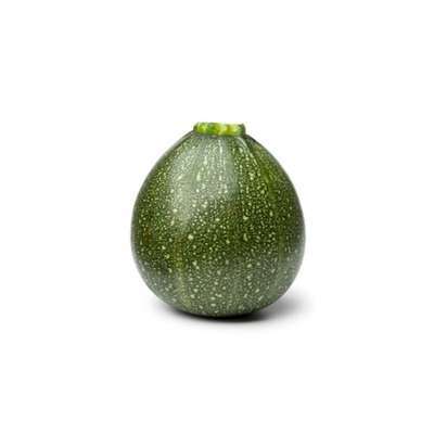 Courgette ronde verte du Loir-et-Cher (100 à 200 g) (petit calibre), France