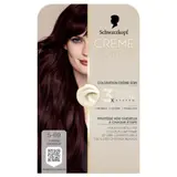 Coloration 5-69 Châtin Chocolat Crème Soin Système HaptIQ Crème Supreme SCHWARZKOPF